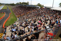 ndrc-nitro-finals-coverage-www.dragzine.com-4-www.dragzine.com